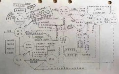 怎样学好初中政治方法技巧(道法的学习方法)