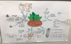 怎么学好生物小技巧初中