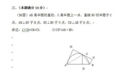 数学选择题有哪些技巧初中(如何科学蒙对选择题)