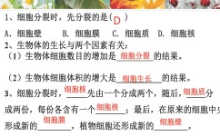 生物高中考试如何答题(一个月考到90最核心的答题方式)