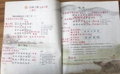 五年级语文怎么提高成绩(小学语文提分办法)