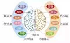 怎么让语文大大提升(语文稳上110分秘籍)