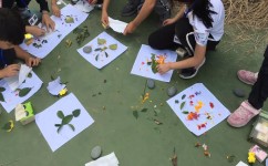 小学学英语注意什么(避免两大坑)