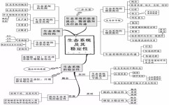 高中生物怎么得满分(2分钟帮你搞定生物学习)