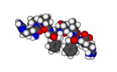 生物提高技巧有哪些方法(高中生物提分技巧）