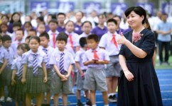 语文老是学不好为什么(语文成绩下滑的本质原因)