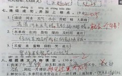 语文用几个词语写一段话