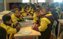 什么年龄开始学数学好些