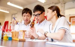学习态度和习惯哪个更重要