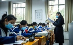 学生的学习方法有哪些(坚持做好三件事)