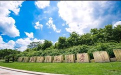 历史学专业怎么样