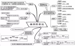 初三生物考多少才够