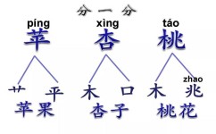 我怎么学语文(语文预习方法)