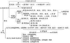 为什么高中生物听不懂(高一女儿上课听不懂这么做)