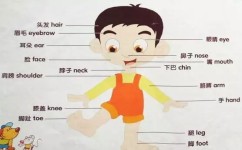 小学英语如何去学(小学英语学习方法)