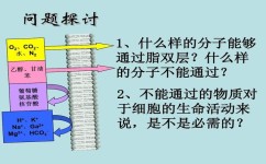 高中不喜欢生物了吗怎么办(高中生物学习方法)