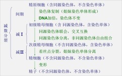 高中生物怎么学习有效(学会这4步，生物考试轻松满分！)