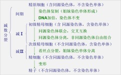 高中生物怎么学(小学生都能考满分，这个高中生怎么做到的？)