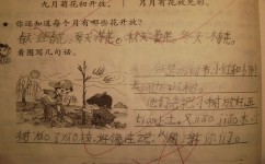 语文作业什么叫写话(打破常规！3步就搞定看图写话！)
