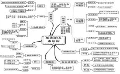 高中生物为什么难得高分(高效学习攻略！生物考试轻松拿高分的绝密方法！)