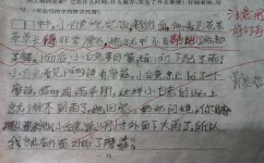 语文什么叫写话(二年级学生惊人创意，完美掌握看图写话五要素！)