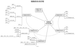 高中生物怎么学透(四招轻松提分！生物学霸秘籍大揭秘！)