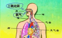 怎么培养初中物理化学兴趣(神奇漫画科学：解锁孩子数理化天赋！)
