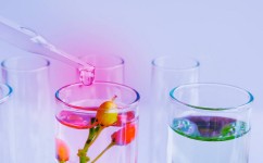 初中化学概念课有什么(揭秘物质变化：分子与原子的奥秘，你真的了解吗？)