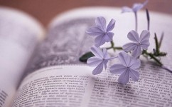 初中英语athe怎么分(英语冠词：特指与泛指的绝妙区别！)