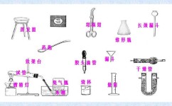 初中生物实验怎么分类(揭秘生物分类：探索多样性与保护的奥秘)