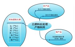 高中化学中的核素有哪些(核素、同位素、同素异形体区别大揭秘！)