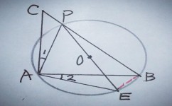 数学有什么思想初中(惊人数学思想揭秘：F(0)平方竟然不是零？！)