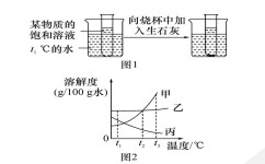 初中化学溶质怎么区分(绝对揭秘：化学中的溶质，你肯定一直理解错了！)