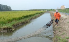 高中生物如何选择互补链