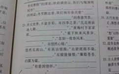 初三语文差怎么提升(揭秘初三语文高分秘籍，三招轻松稳上130分！)