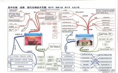 初一生物如何做到期末复习(七年级下册生物《神经元》人教版期末考试复习重点通俗易懂生物提分七年级下册生物七年级下册生物笔记初一生物初一生物下册初中会考地理生物)