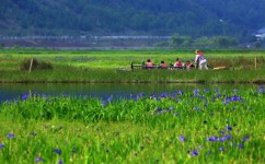 高中地理湿地有哪些(高中地理揭秘！湿地大解读，你知道有哪些吗？)