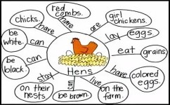 你知道我在什么小学吗英语(神奇预测：你的小学英语)