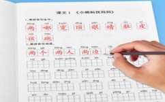 语文拼音怎么学(神速掌握语文拼音的最佳学习方法大揭秘)