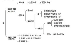 高考生物选哪些(高考生物必选科目揭秘)