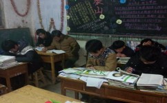 初中各科应该注意什么(初中科目攻略)