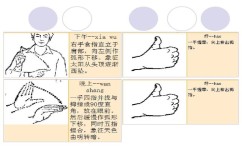 手语学习方法有哪些(掌握手语技巧)