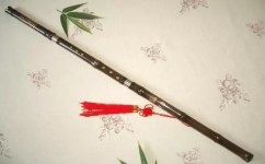 乐器学习方法有哪些(乐器速成秘籍)