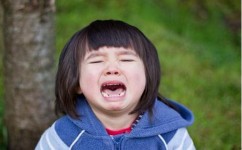 犯困学习方法有哪些(犯困怎么办？学霸们的独门学习方法曝光，告别打瞌睡，提高效率)