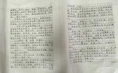 小学五年级作文如何指导(小学五年级作文轻松指南，写作高招助力满分)