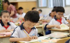 生活作文如何写(生活作文写作攻略！揭秘技巧，让文字生动展现丰富生活)
