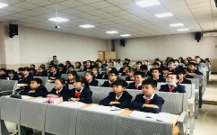 浅层学习方法有哪些(浅层学习秘籍：轻松掌握，高效成才)