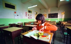 作文学习方法有哪些(小学语文学习方法)