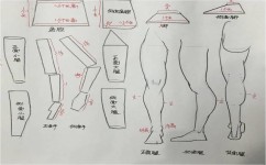 速写入门的学习方法有哪些(速写入门的学习方法)