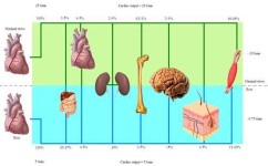 如何将生物的血学好(神奇技巧！轻松掌握生物血学)